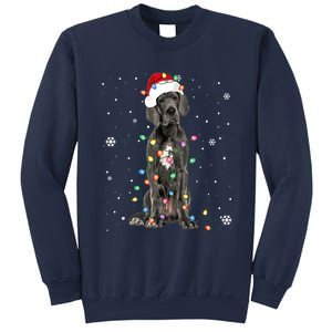 Great Dane Csanta Hat Fairy Lights Pajama Dog Lover Sweatshirt