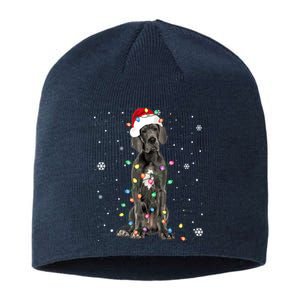 Great Dane Csanta Hat Fairy Lights Pajama Dog Lover Sustainable Beanie