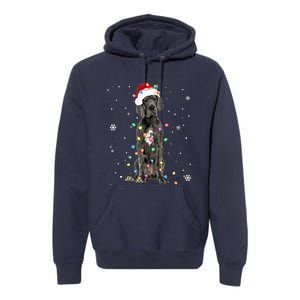 Great Dane Csanta Hat Fairy Lights Pajama Dog Lover Premium Hoodie