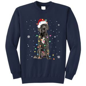 Great Dane Csanta Hat Fairy Lights Pajama Dog Lover Tall Sweatshirt