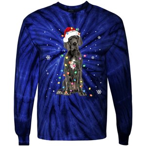 Great Dane Csanta Hat Fairy Lights Pajama Dog Lover Tie-Dye Long Sleeve Shirt