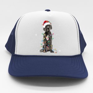 Great Dane Csanta Hat Fairy Lights Pajama Dog Lover Trucker Hat