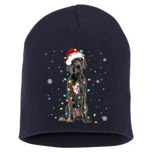 Great Dane Csanta Hat Fairy Lights Pajama Dog Lover Short Acrylic Beanie