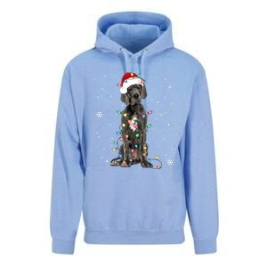 Great Dane Csanta Hat Fairy Lights Pajama Dog Lover Unisex Surf Hoodie