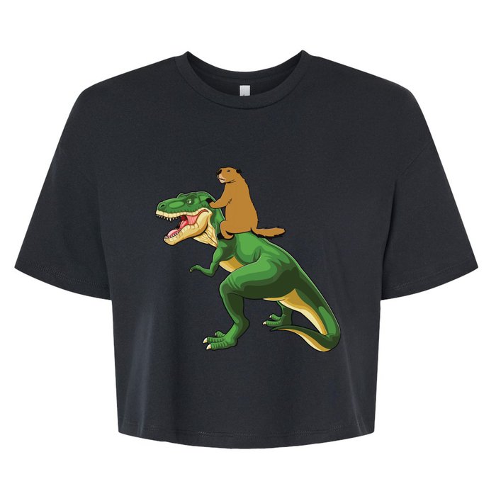 Groundhog Day Dinosaur Gift Shadow Bella+Canvas Jersey Crop Tee