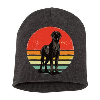Great Dane Dog Lover Retro Vintage 70s Dog Pet Short Acrylic Beanie