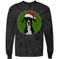 Great Dane Dog In Santa Hat For Christmas Tie-Dye Long Sleeve Shirt