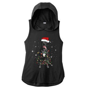 Great Dane Dog Tree Christmas Lights Xmas Pajama Matching Gift Ladies PosiCharge Tri-Blend Wicking Draft Hoodie Tank