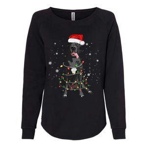 Great Dane Dog Tree Christmas Lights Xmas Pajama Matching Gift Womens California Wash Sweatshirt