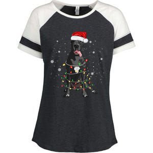 Great Dane Dog Tree Christmas Lights Xmas Pajama Matching Gift Enza Ladies Jersey Colorblock Tee