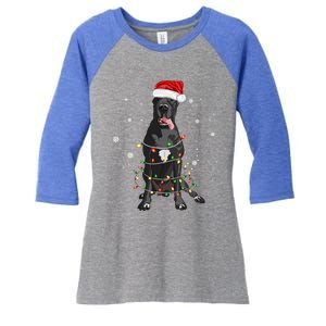 Great Dane Dog Tree Christmas Lights Xmas Pajama Matching Gift Women's Tri-Blend 3/4-Sleeve Raglan Shirt