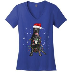 Great Dane Dog Tree Christmas Lights Xmas Pajama Matching Gift Women's V-Neck T-Shirt