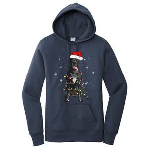 Great Dane Dog Tree Christmas Lights Xmas Pajama Matching Gift Women's Pullover Hoodie