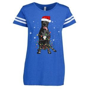 Great Dane Dog Tree Christmas Lights Xmas Pajama Matching Gift Enza Ladies Jersey Football T-Shirt