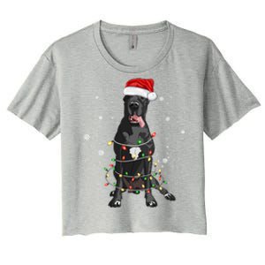 Great Dane Dog Tree Christmas Lights Xmas Pajama Matching Gift Women's Crop Top Tee