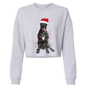 Great Dane Dog Tree Christmas Lights Xmas Pajama Matching Gift Cropped Pullover Crew