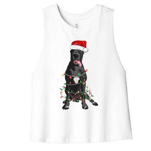 Great Dane Dog Tree Christmas Lights Xmas Pajama Matching Gift Women's Racerback Cropped Tank