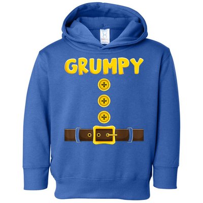 Grumpy Dwarf Easy Halloween Toddler Hoodie