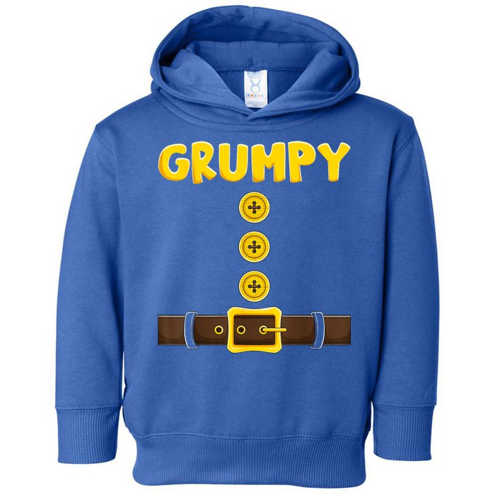 Grumpy Dwarf Easy Halloween Toddler Hoodie