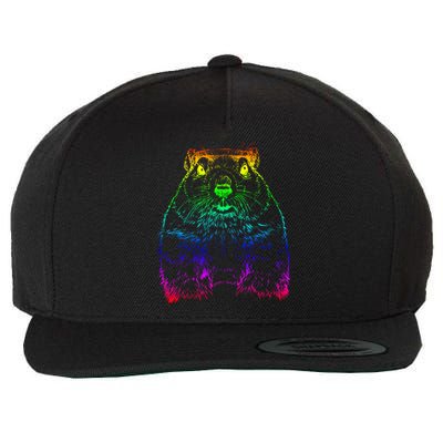 Groundhog Day Funny February Animal Forecasting Cool Gift Wool Snapback Cap