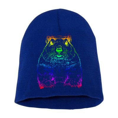 Groundhog Day Funny February Animal Forecasting Cool Gift Short Acrylic Beanie