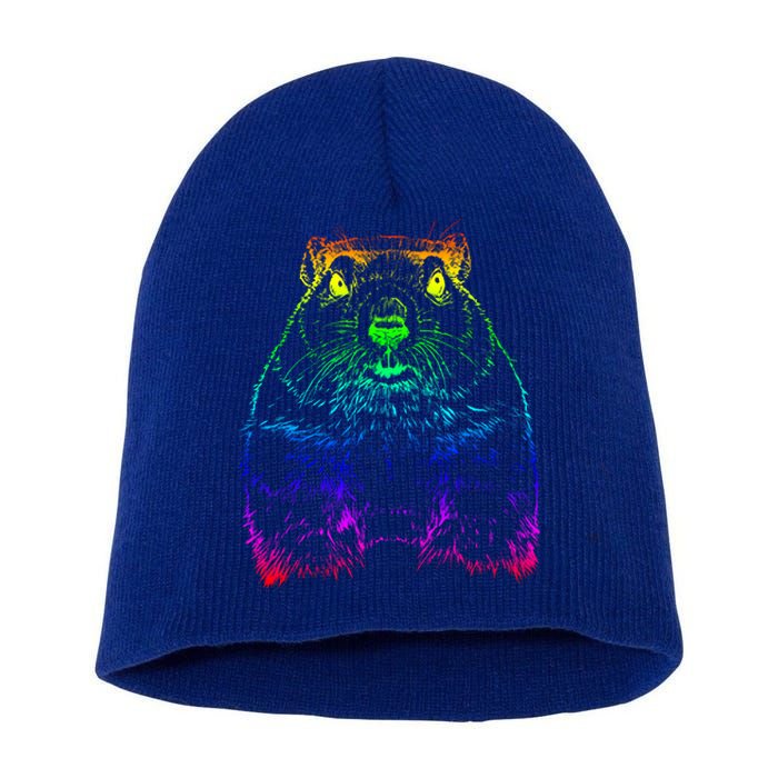 Groundhog Day Funny February Animal Forecasting Cool Gift Short Acrylic Beanie