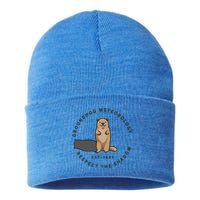 Groundhog Day Funny Quote Funny Gift Respect The Shadow Meteorology Gift Sustainable Knit Beanie