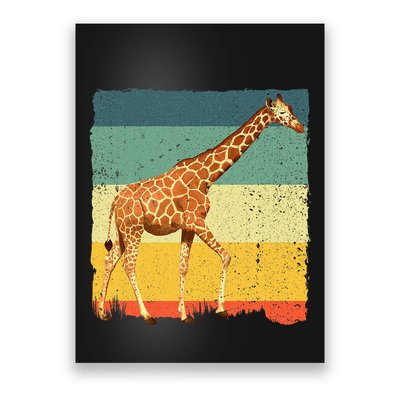 Giraffe Design For Giraffe Okapi Lover Poster