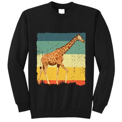 Giraffe Design For Giraffe Okapi Lover Tall Sweatshirt