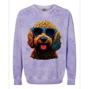 Goldendoodle Dood Funny Doodle Dog Golden Doodle Colorblast Crewneck Sweatshirt