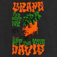 Grape Davis Funny Meme Beanie