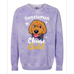 Goldendoodle Dood Funny Doodle Dog Golden Doodle Colorblast Crewneck Sweatshirt