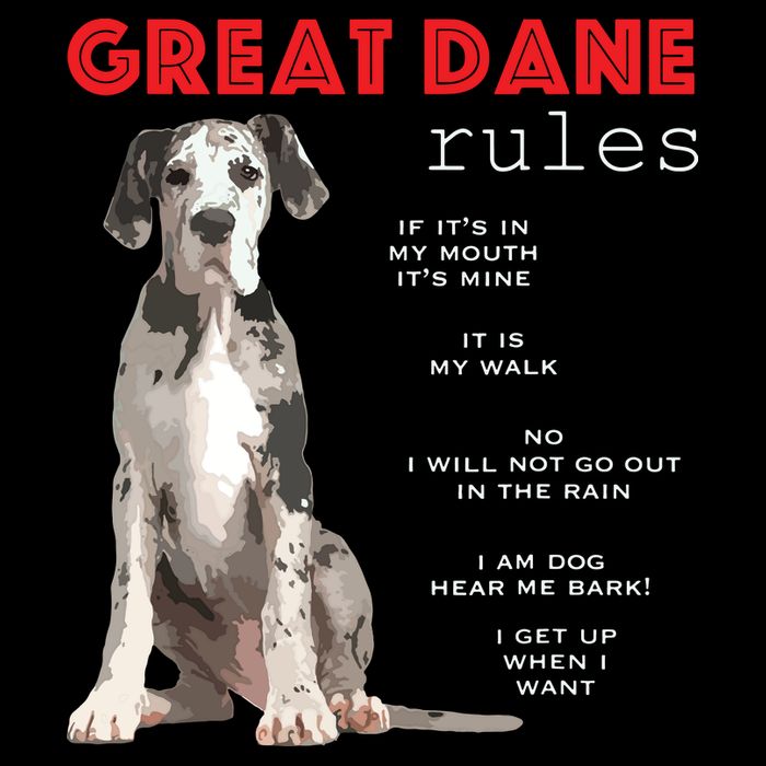 Great Dane Funny Great Dane Lover 7-Panel Snapback Hat