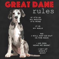 Great Dane Funny Great Dane Lover Adult Drive Performance Visor