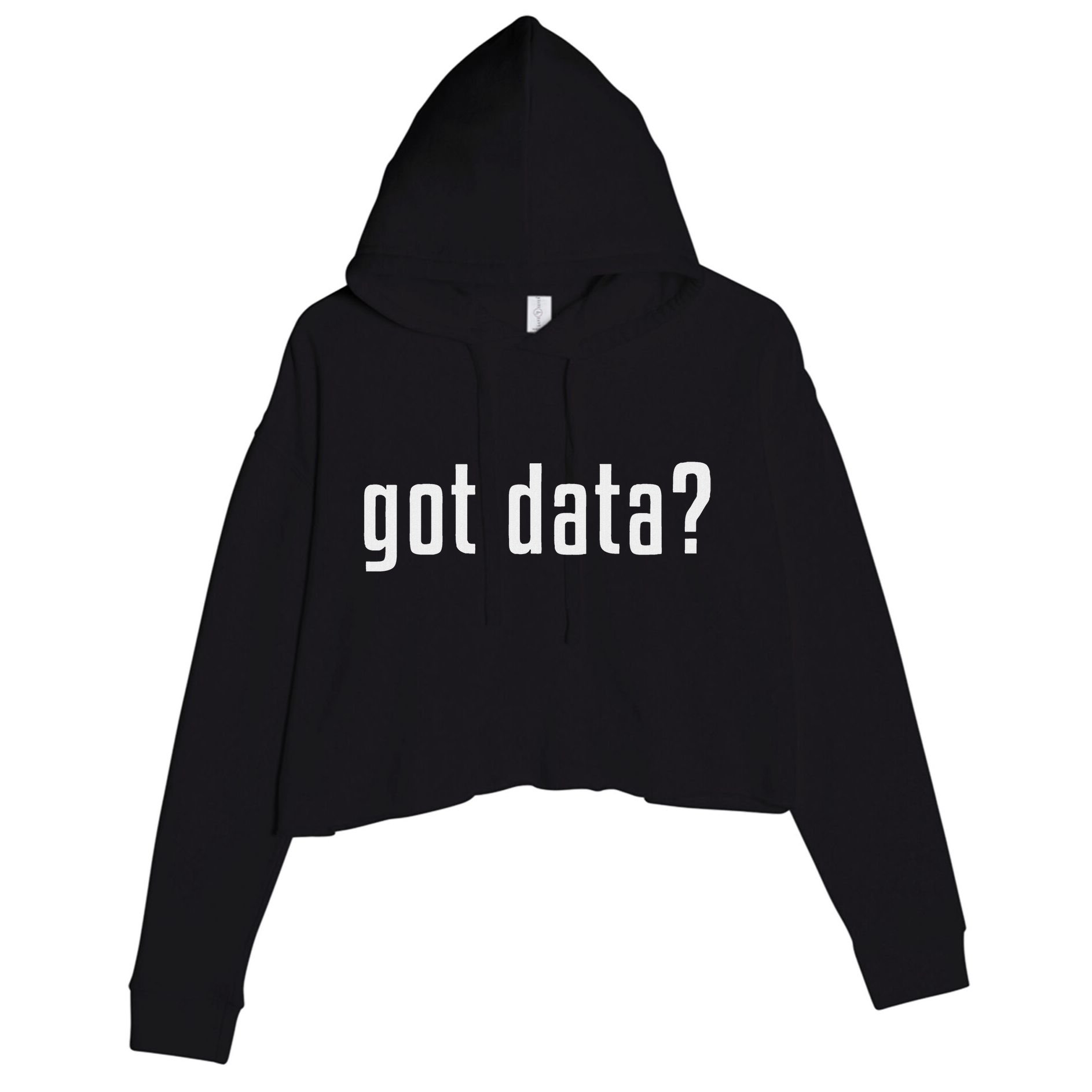 Got Data Funny Business Data Analyst Crop Fleece Hoodie