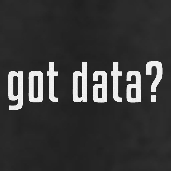 Got Data Funny Business Data Analyst Premium Pullover Hoodie