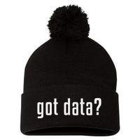 Got Data Funny Business Data Analyst Pom Pom 12in Knit Beanie