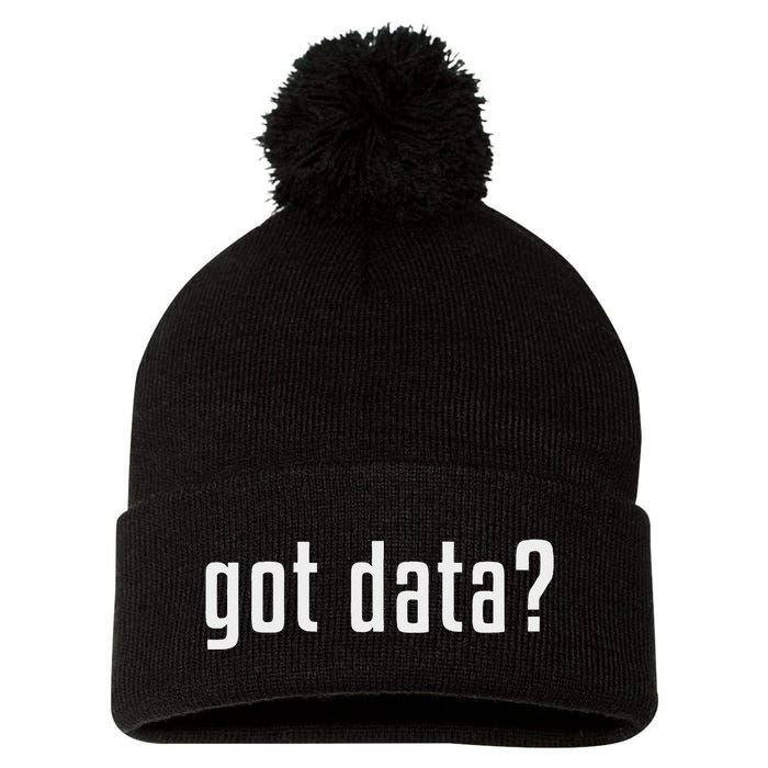 Got Data Funny Business Data Analyst Pom Pom 12in Knit Beanie