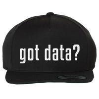 Got Data Funny Business Data Analyst Wool Snapback Cap