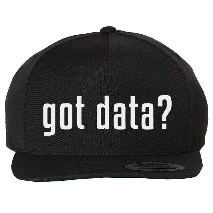 Got Data Funny Business Data Analyst Wool Snapback Cap