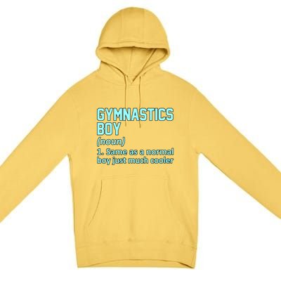 Gymnastics Definition Gymnast Gymnastic Lover Graphic Cute Gift Premium Pullover Hoodie