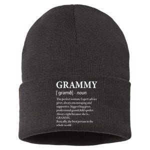 Grammy Definition Grandma Funny Grandmother Sustainable Knit Beanie