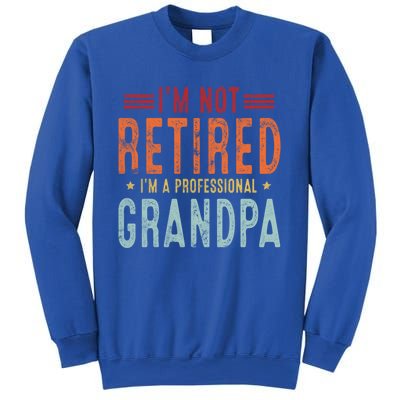 Grandparent's Day I'm Not Retired I'm A Professional Grandpa Gift Sweatshirt