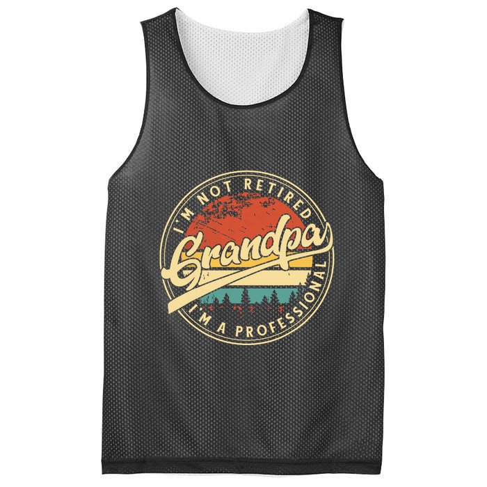 Grandparents Day Im Not Retired Im A Professional Grandpa Mesh Reversible Basketball Jersey Tank
