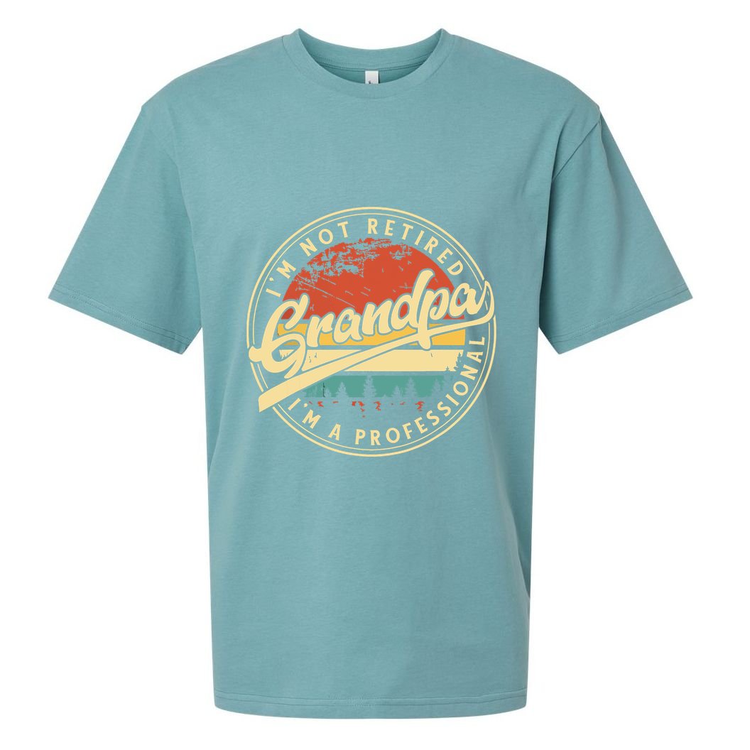 Grandparents Day Im Not Retired Im A Professional Grandpa Sueded Cloud Jersey T-Shirt