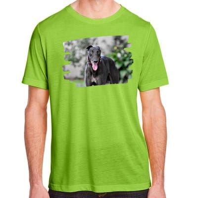 Greyhound Dog Lover Gift Adult ChromaSoft Performance T-Shirt