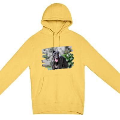 Greyhound Dog Lover Gift Premium Pullover Hoodie