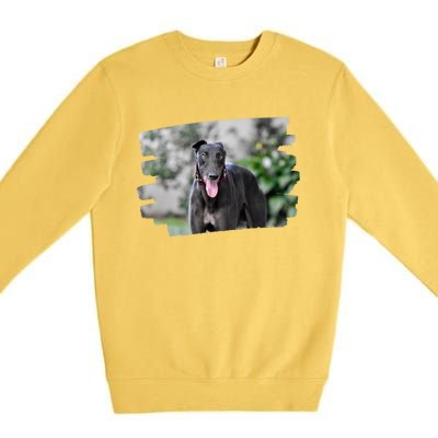 Greyhound Dog Lover Gift Premium Crewneck Sweatshirt