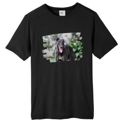 Greyhound Dog Lover Gift Tall Fusion ChromaSoft Performance T-Shirt