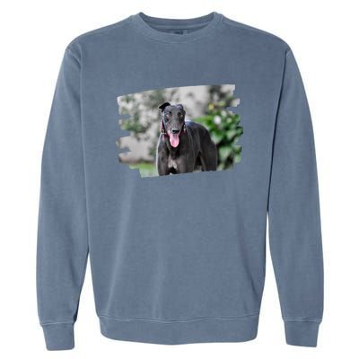 Greyhound Dog Lover Gift Garment-Dyed Sweatshirt